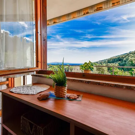 Mono Le Lecce 53 Iris *